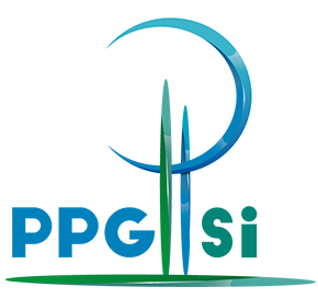 logo-ppgpsi